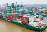Phó Tổng Giám đốc Viconship (VSC) muốn mua thêm cổ phiếu trong khi lợi nhuận quý I giảm hơn 37%