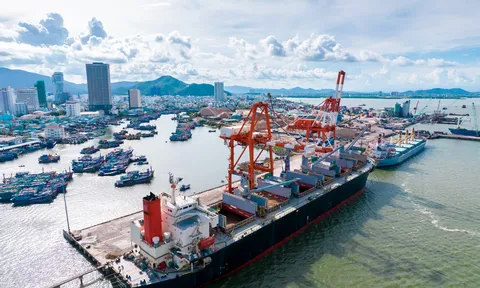 Cảng Quy Nhơn (QNP) báo lãi tăng gần 30%, nhưng dòng tiền kinh doanh vẫn âm hơn 66 tỷ đồng