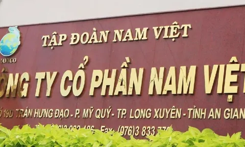 Nam Việt (ANV) lãi quý II giảm gần 60%, dòng tiền kinh doanh âm hơn 130 tỷ đồng