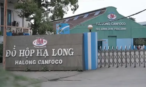 Đồ hộp Hạ Long (CAN) báo lỗ gần 16 tỷ đồng, tài sản giảm gần 120 tỷ sau nửa năm