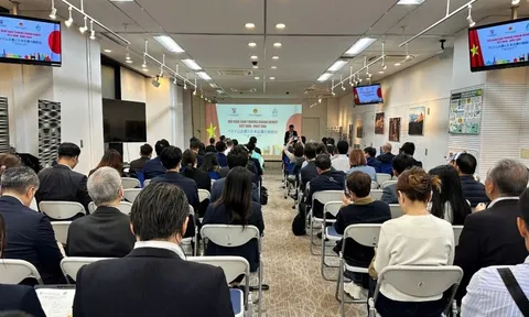 Việt Nam luôn là đối tác chiến lược và đáng tin cậy đối với Nhật Bản