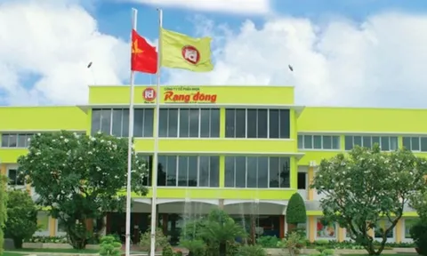 Rạng Đông Holding (RDP) rời UPCoM từ ngày 17/7, báo lỗ 65 tỷ đồng trước khi chuỗi công bố thông tin đứt đoạn