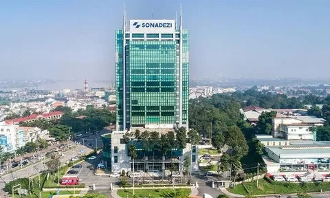 Sonadezi Giang Điền (SZG) biến động nhân sự cấp cao ngay sau đợt trả cổ tức gần 110 tỷ đồng