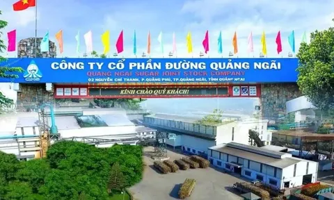 Đường Quảng Ngãi (QNS) nâng vốn dự án điện sinh khối lên hơn 1.500 tỷ đồng, nợ vay ngắn hạn đã vượt 3.400 tỷ đồng