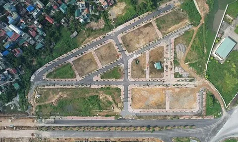 Bất ngờ với giá đất đấu giá ở nhiều vùng ngoại thành Hà Nội, có nơi 51 triệu đồng/m2