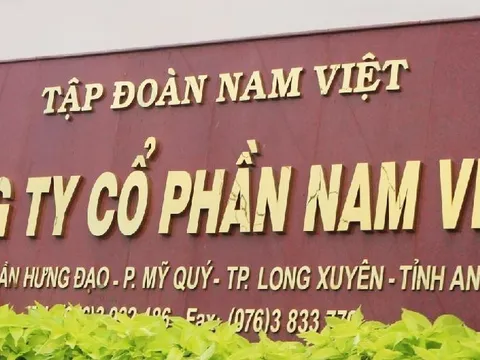 Nam Việt (ANV) lãi quý II giảm gần 60%, dòng tiền kinh doanh âm hơn 130 tỷ đồng