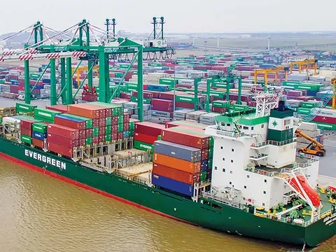 Phó Tổng Giám đốc Viconship (VSC) muốn mua thêm cổ phiếu trong khi lợi nhuận quý I giảm hơn 37%