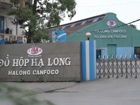 Đồ hộp Hạ Long (CAN) báo lỗ gần 16 tỷ đồng, tài sản giảm gần 120 tỷ sau nửa năm