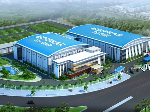 Bidiphar (DBD) sắp chi gần 189 tỷ đồng trả cổ tức, nợ phải trả cuối quý II gần chạm mốc 1.100 tỷ đồng
