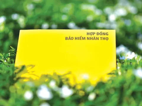 Hiệp hội Bảo hiểm cảnh báo: Thông tin giả mạo đang làm lung lay niềm tin thị trường