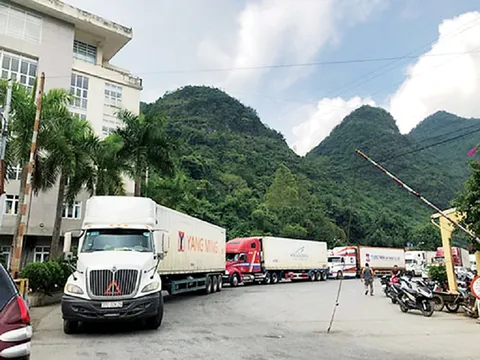 Ưu tiên thông quan mặt hàng nông lâm thủy sản, đặc biệt là sầu riêng