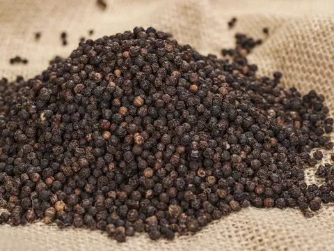 Giá tiêu ngày 29/5: Biến động trái chiều, xuất khẩu đối mặt nhiều yếu tố bất lợi