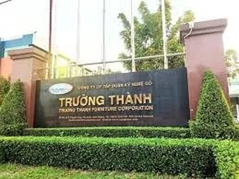Gánh lỗ hàng nghìn tỷ, doanh thu lao dốc, Gỗ Trường Thành vẫn đặt mục tiêu lãi 50 tỷ đồng trong năm 2025