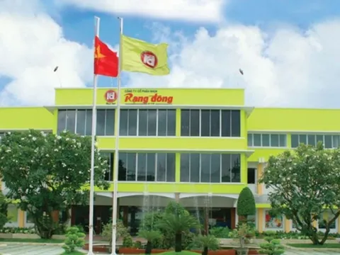 Rạng Đông Holding (RDP) rời UPCoM từ ngày 17/7, báo lỗ 65 tỷ đồng trước khi chuỗi công bố thông tin đứt đoạn