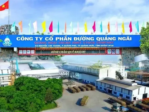 Đường Quảng Ngãi (QNS) nâng vốn dự án điện sinh khối lên hơn 1.500 tỷ đồng, nợ vay ngắn hạn đã vượt 3.400 tỷ đồng