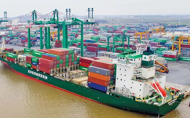 Phó Tổng Giám đốc Viconship (VSC) muốn mua thêm cổ phiếu trong khi lợi nhuận quý I giảm hơn 37%