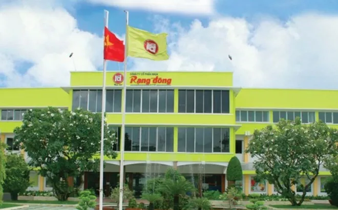 Rạng Đông Holding (RDP) rời UPCoM từ ngày 17/7, báo lỗ 65 tỷ đồng trước khi chuỗi công bố thông tin đứt đoạn